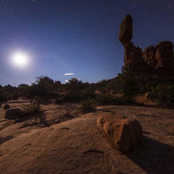 Special Edition Prints